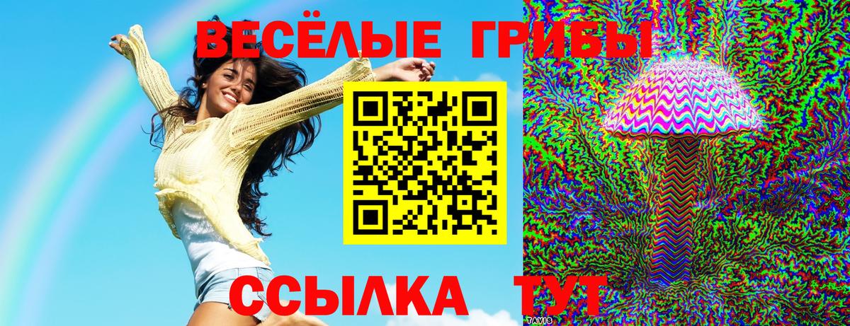 Псилоцибиновые грибы ЛСД  Вход с VPN  Заволжье  Псилоцибиновые грибы Psilocybe 